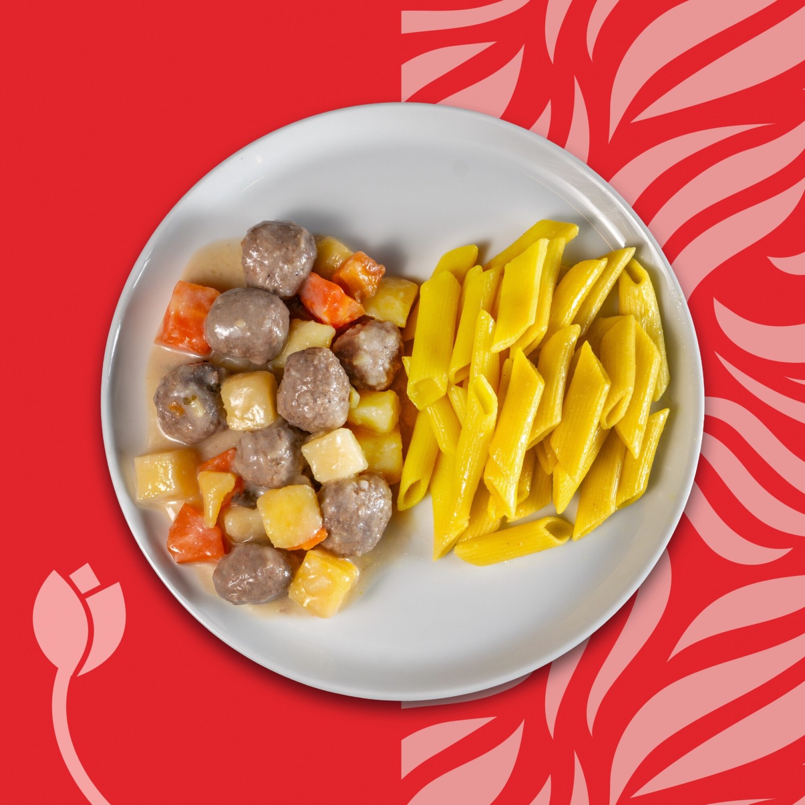 Ekşili Köfte & Penne Makarna