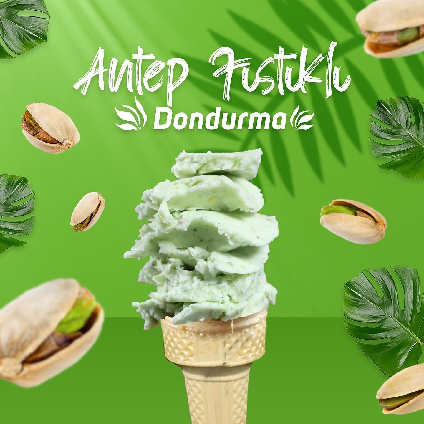 Antep fıstıklı Dondurma (500 gr.)