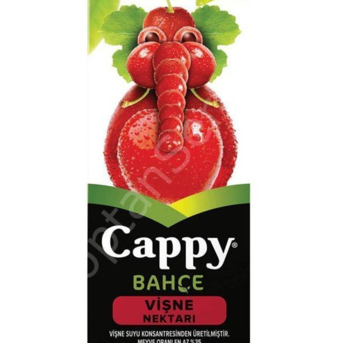 Cappy Vişne 200 Ml