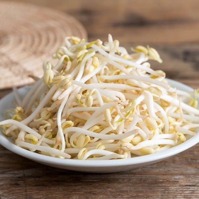 Soya Filizi