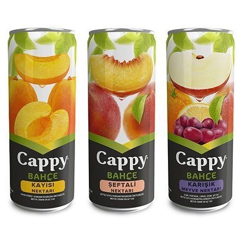 Cappy Karışık (33 cl)