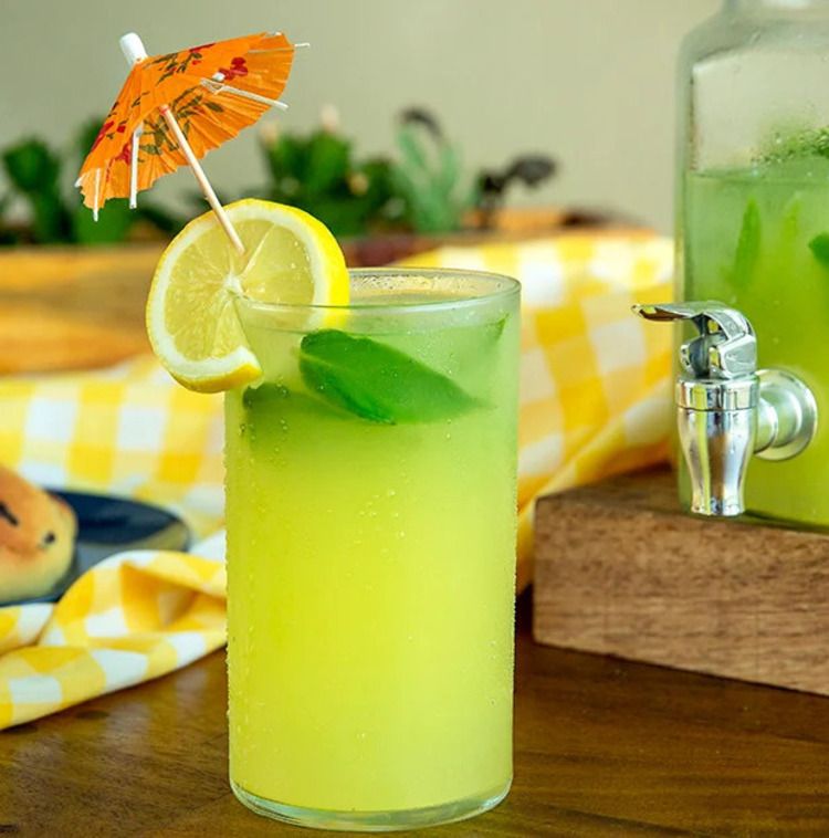 Naneli Limonata (300 ml)