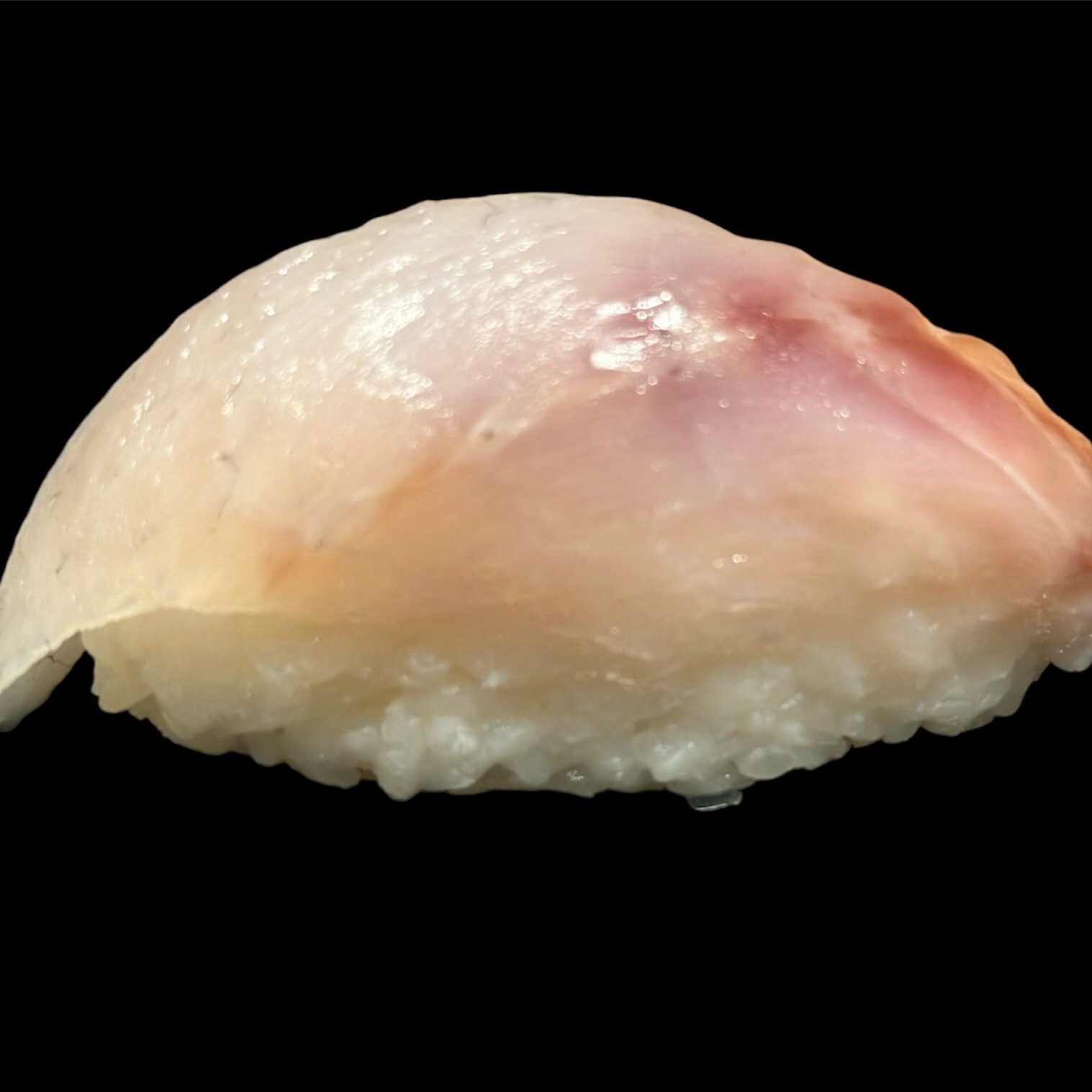 Suzuki Nigiri