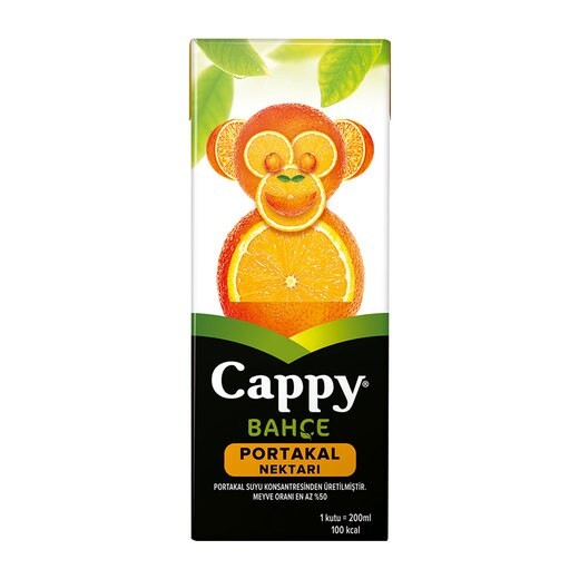 Cappy Portakal Karton Kutu