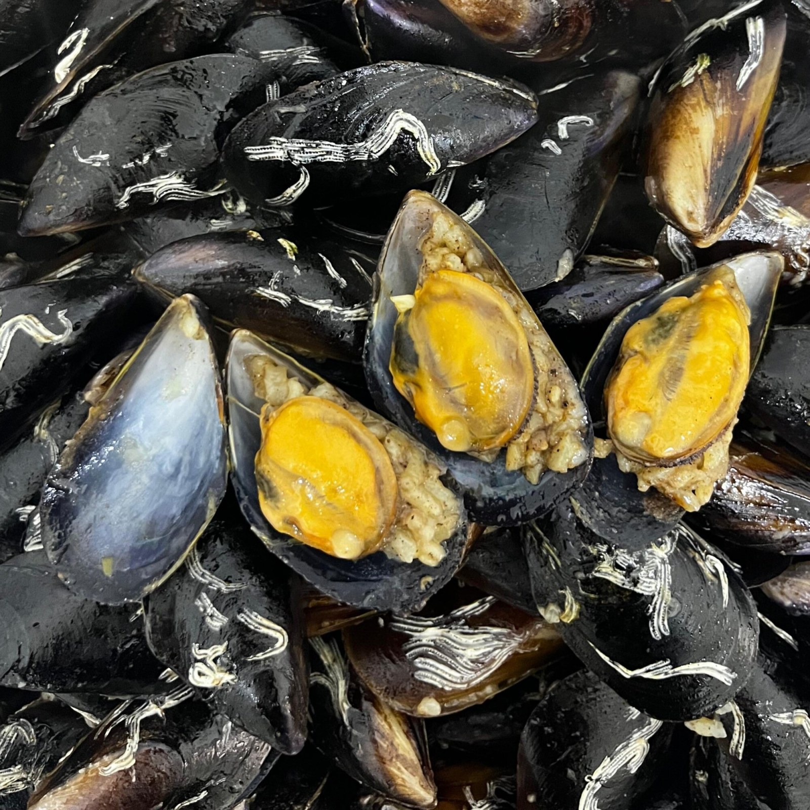 40 Adet Çiftlik midye dolma