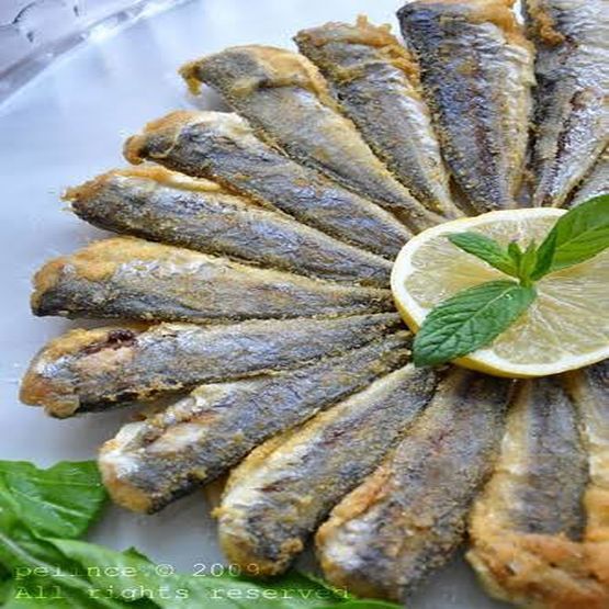 İstavrit (1 kg)