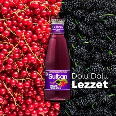 Karadut Frenk üzüm Soda (20 cl.)
