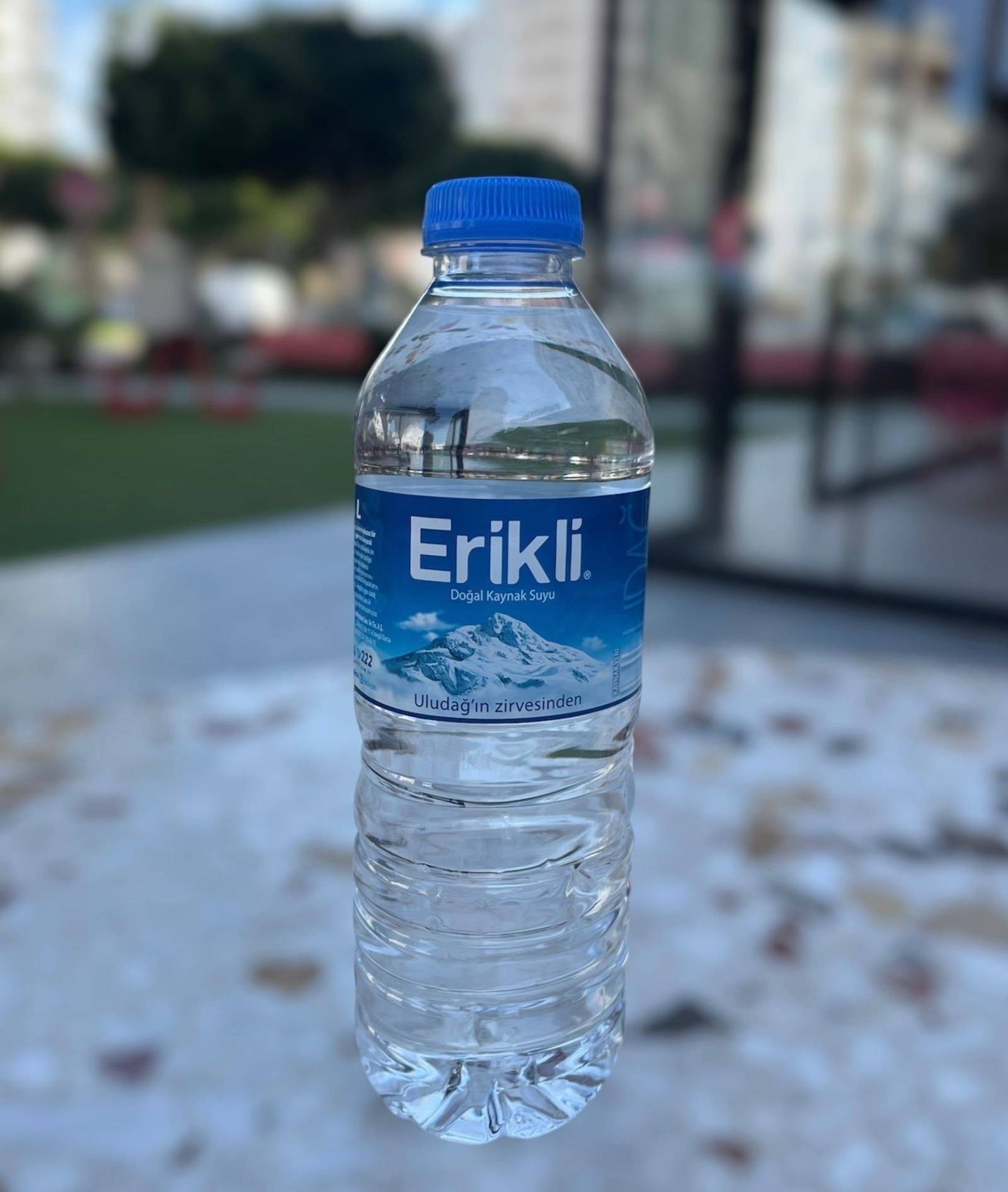 Erikli Su (50 cl.)