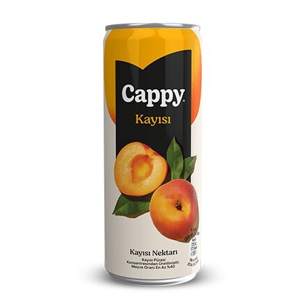 Cappy Kayısı (25 cl.)