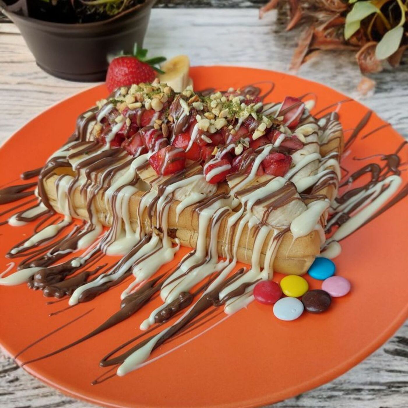 Mina Waffle (Küçük Hamur)