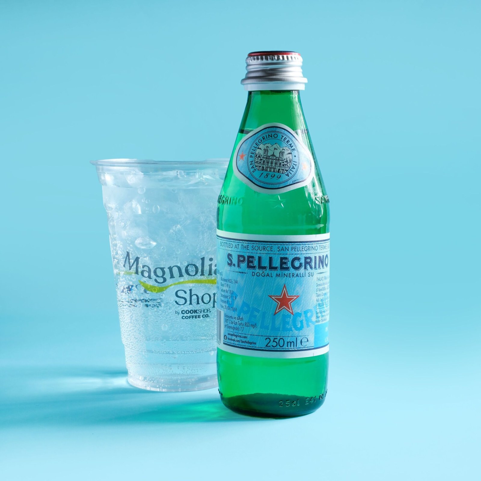 San Pellegrino (250 cl.)
