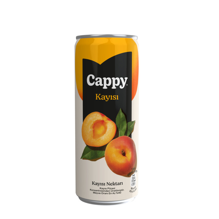 Cappy Meyve Suyu (33 cl)