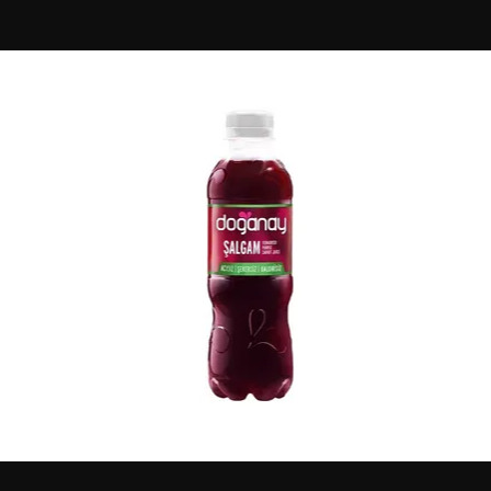 Doğanay Acısız Şalgam (300 ml)