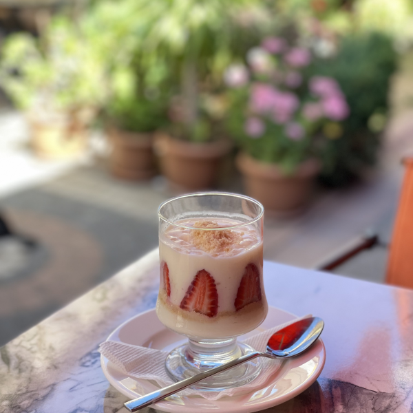 Çilekli Magnolya