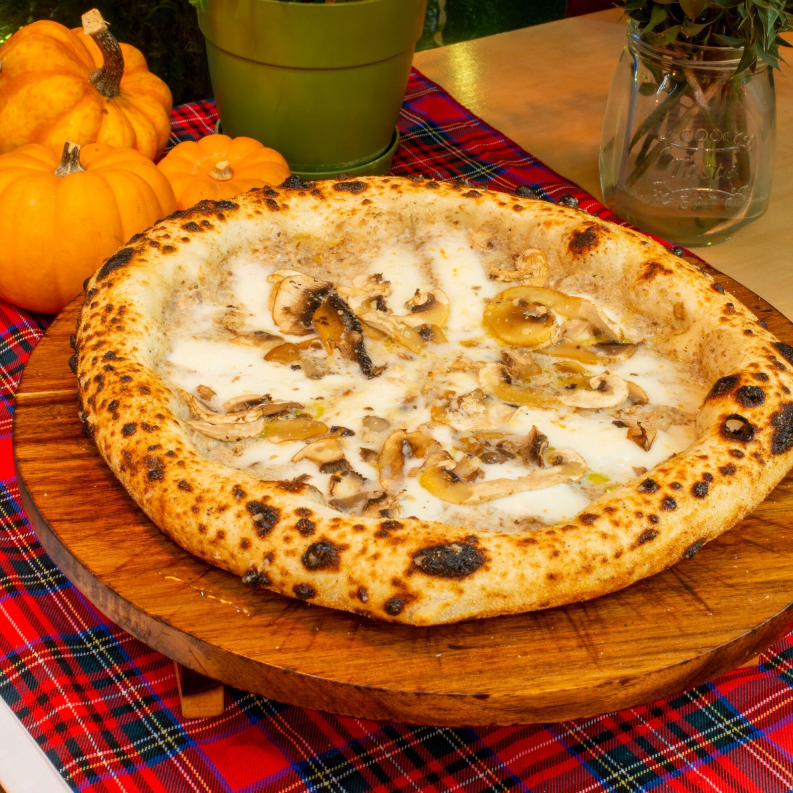 Kremalı Mantarlı Pizza
