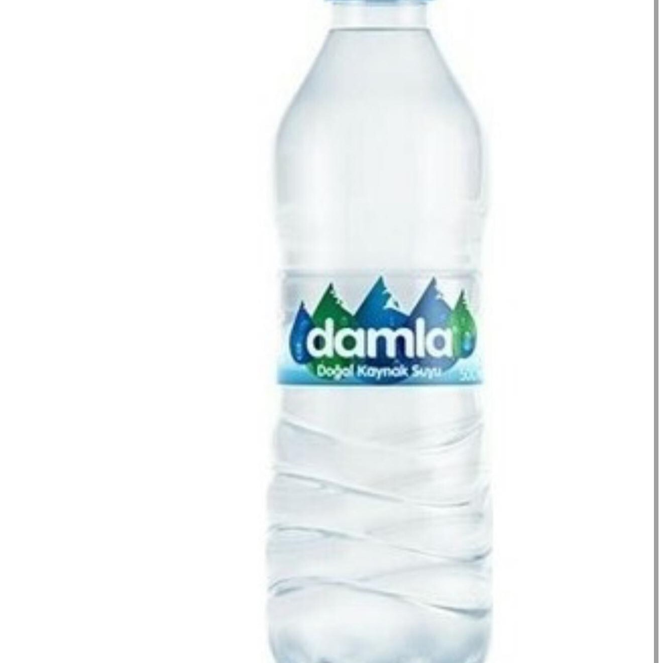 Su Pet Şişe