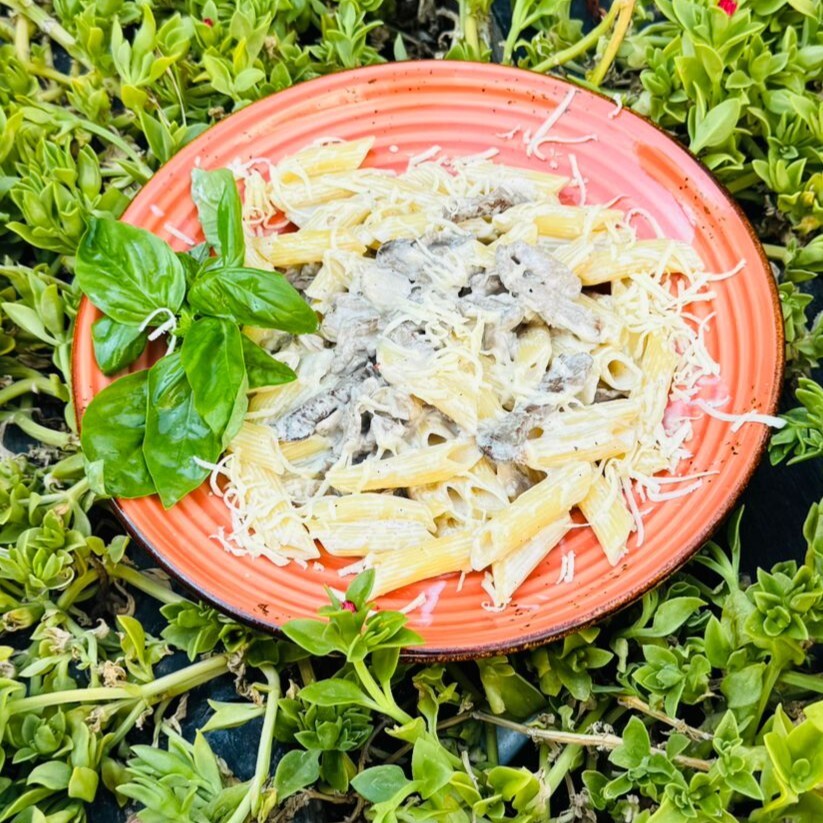 Kremalı Steak Penne