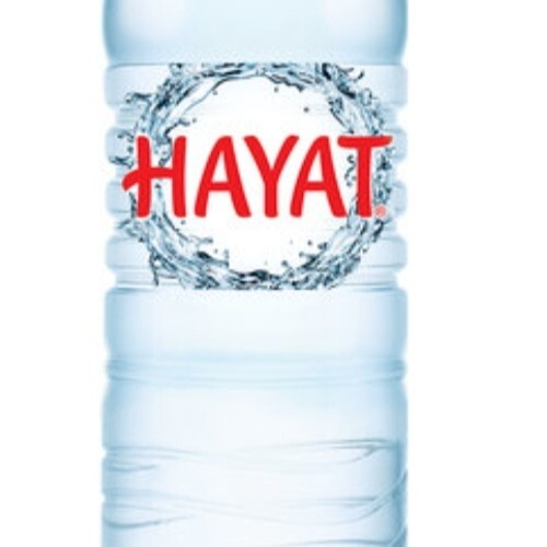 Hayat Su (500 ml)