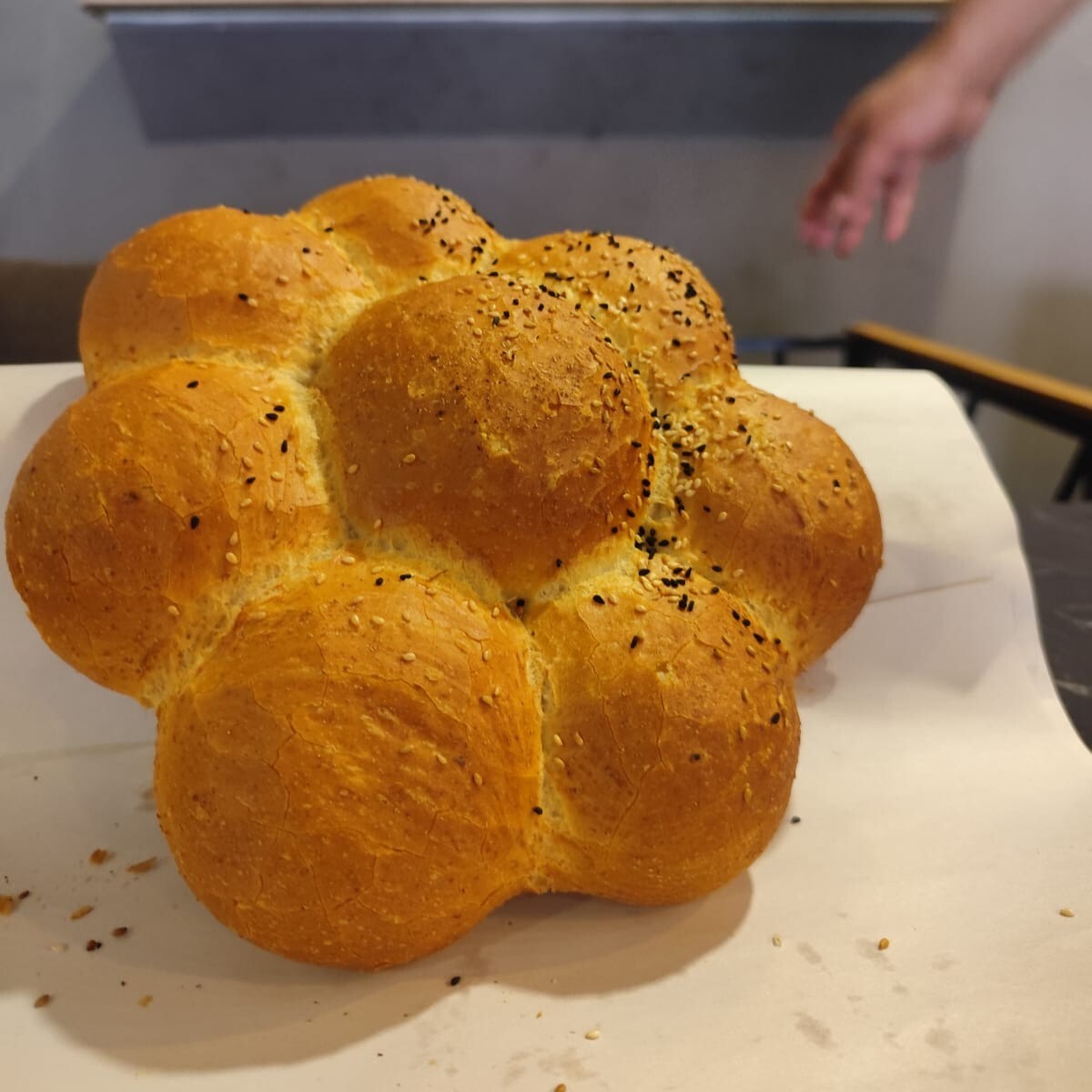 Papatya Ekmek