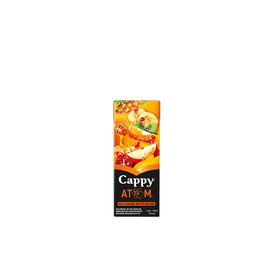 Cappy Karışık (20 cl.)