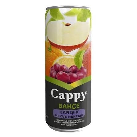 Cappy Karışık (330 ml)