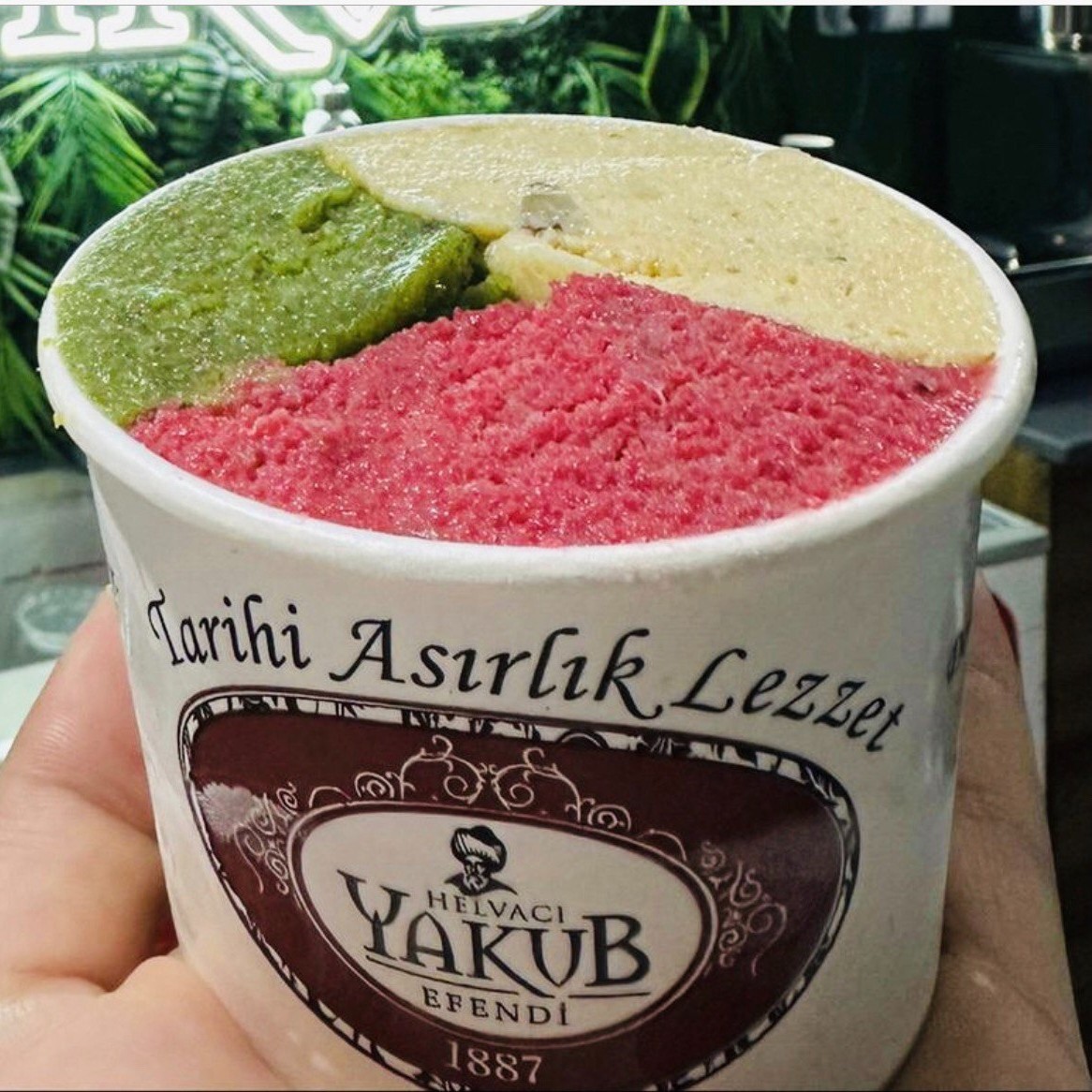 Antep Fıstıklı-Beyaz Çikolatalı-Sade(200cc)dondurmasız