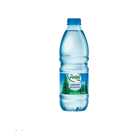Pınar Su Pet Şişe ( 500 Ml )