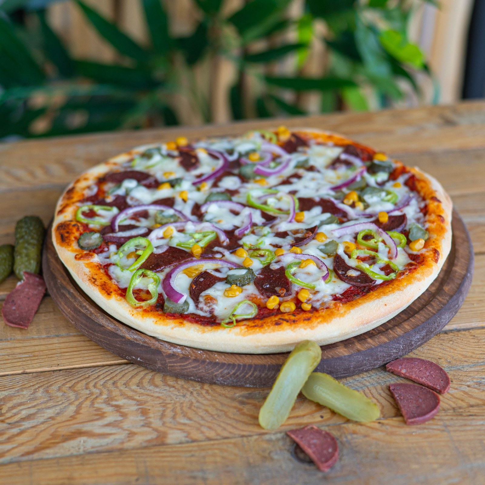 Slavik Pizza (Küçük)