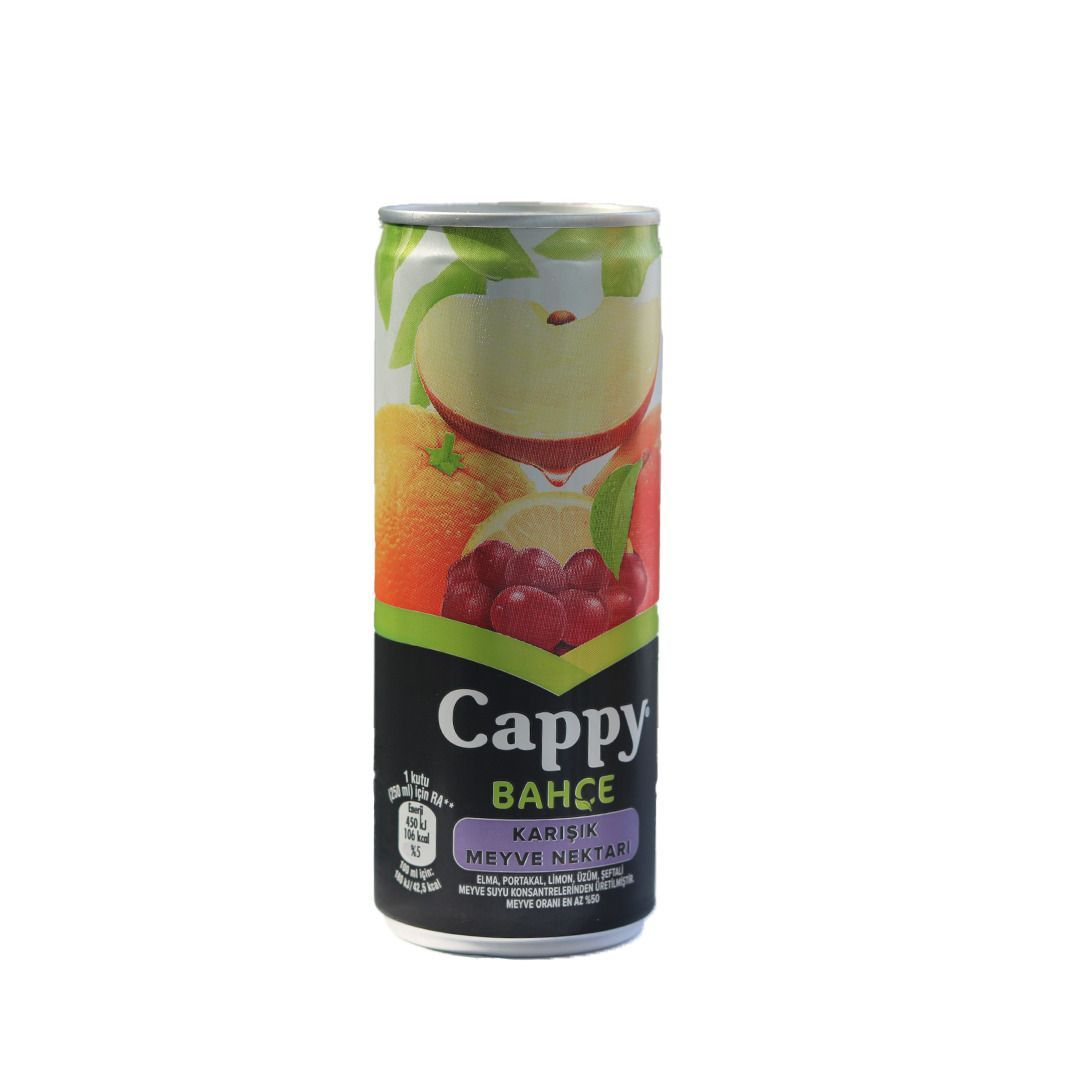 Cappy Çeşitleri 33 cl