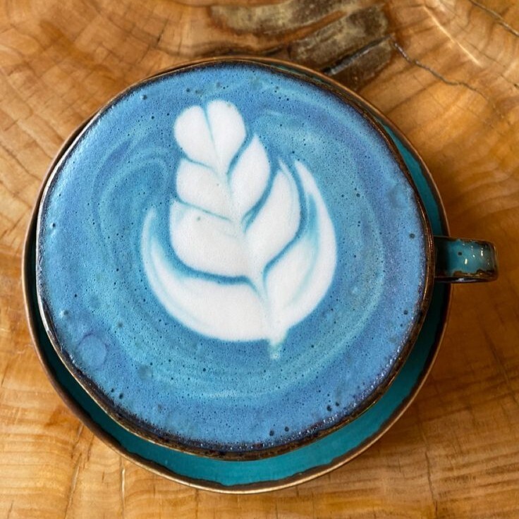Matcha Latte Tayski Blue