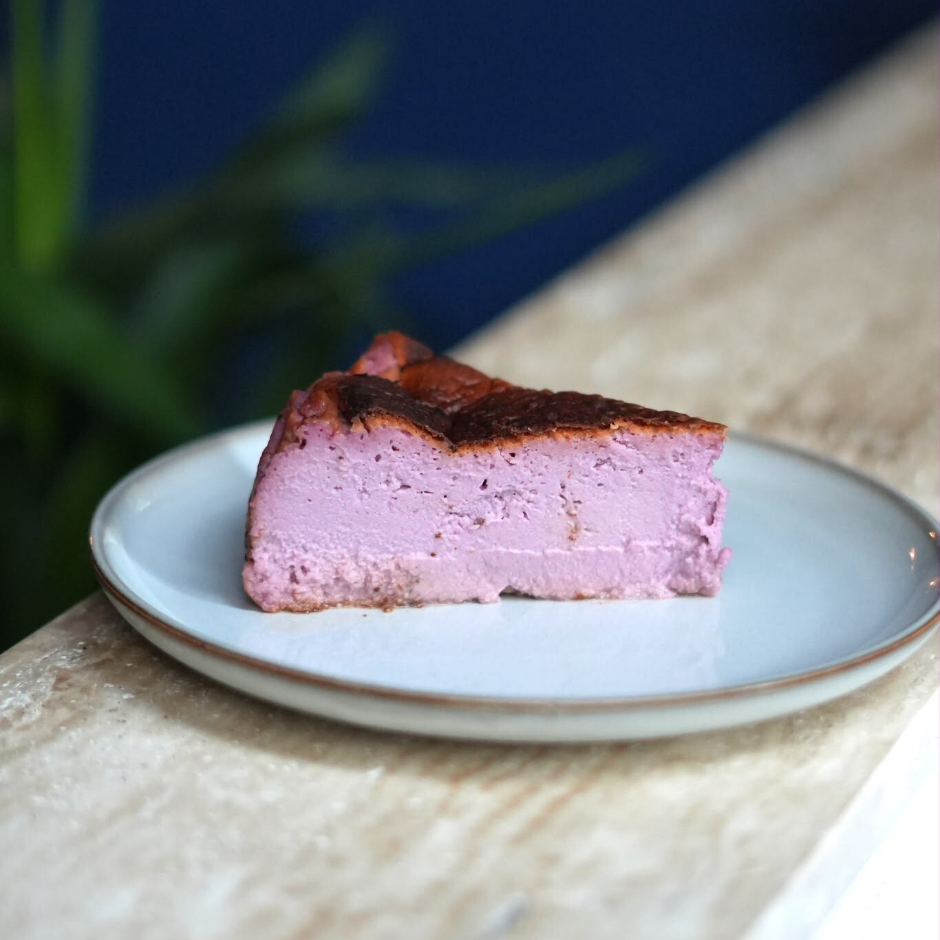Ube Cheesecake