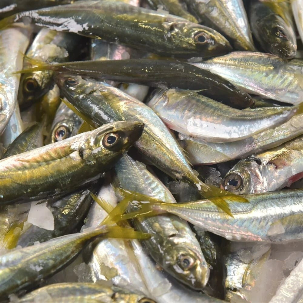 İstavrit (1 kg.) (Pişirilmemiş)
