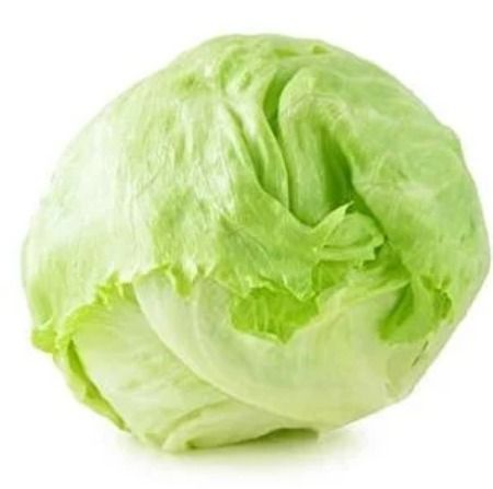 Iceberg Marul