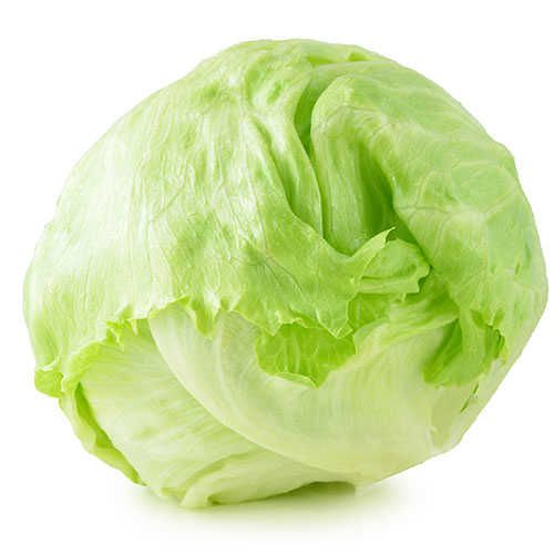Iceberk Marol (Adet)