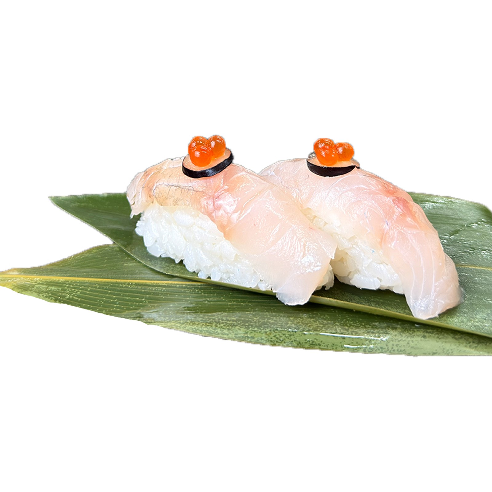 Suzuki Nigiri
