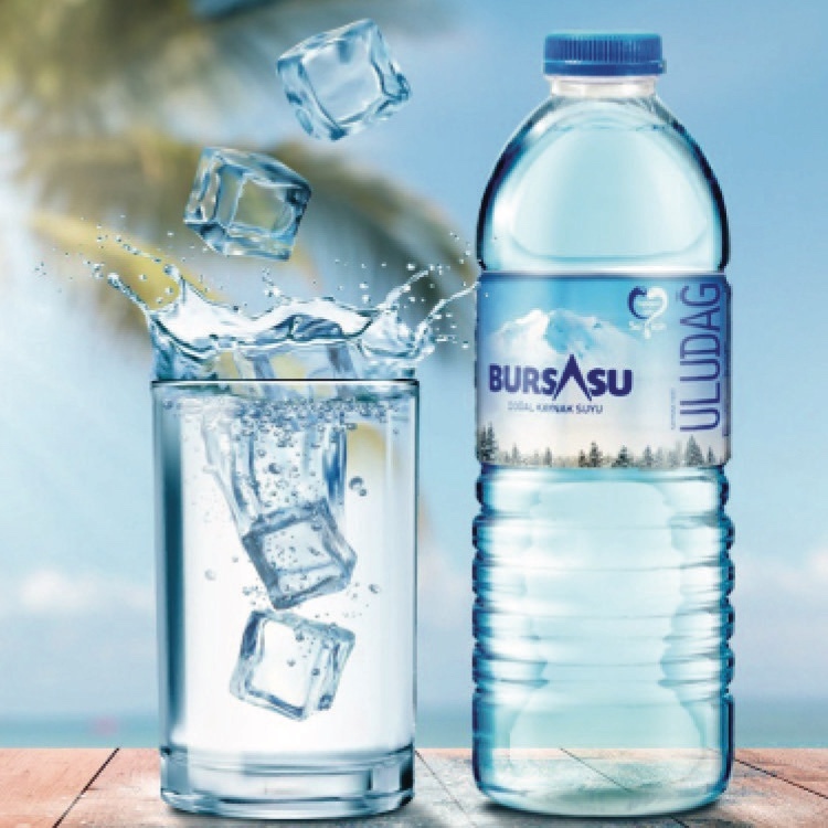 Su