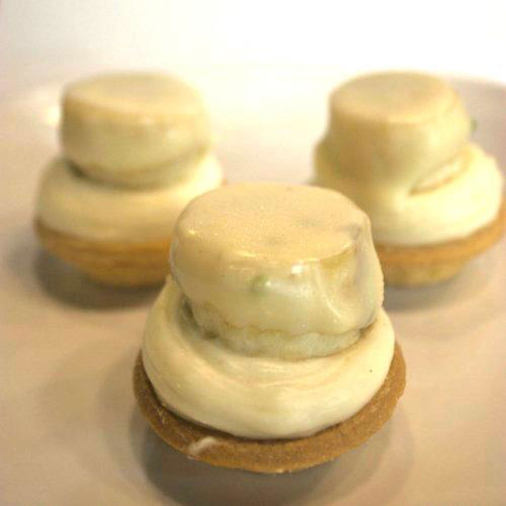 Muzlu Tartolet (500 g)