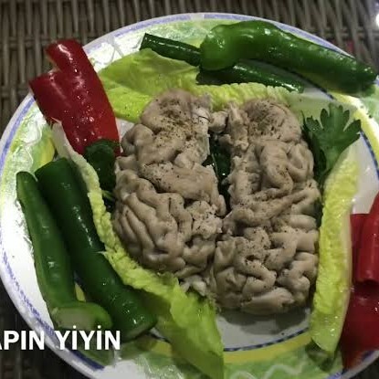 Beyin Söğüş