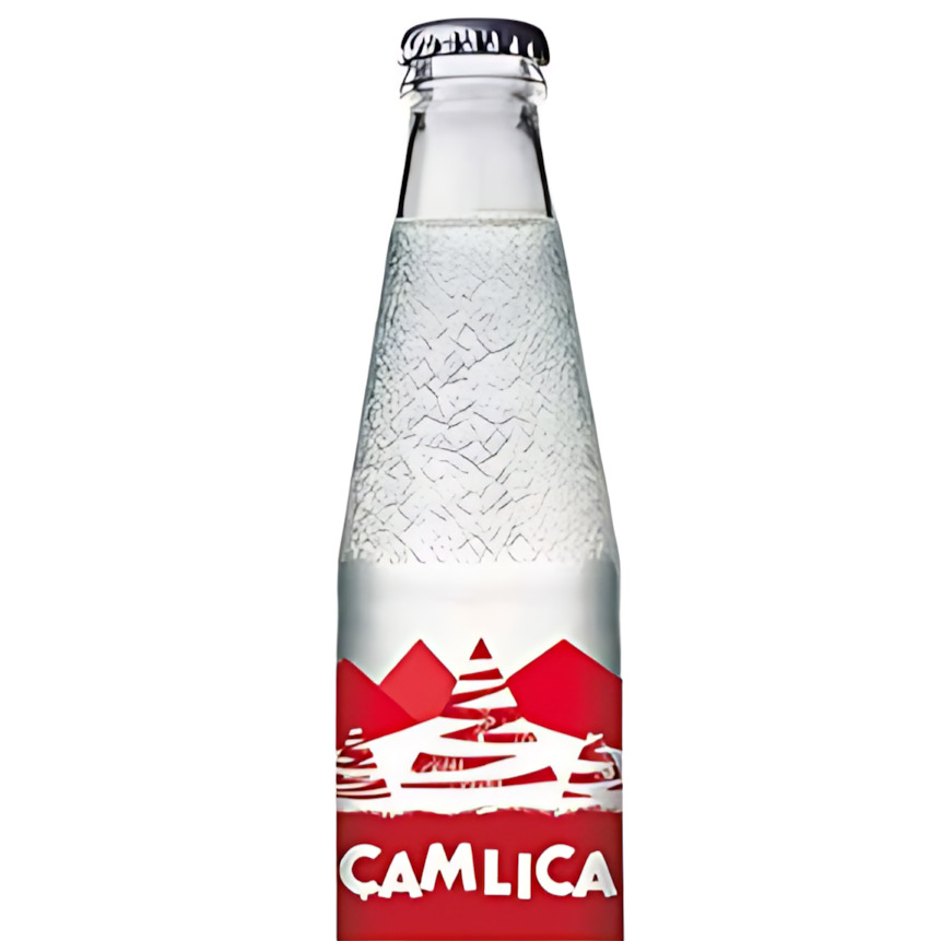 Çamlıca Gazoz (200 ml)