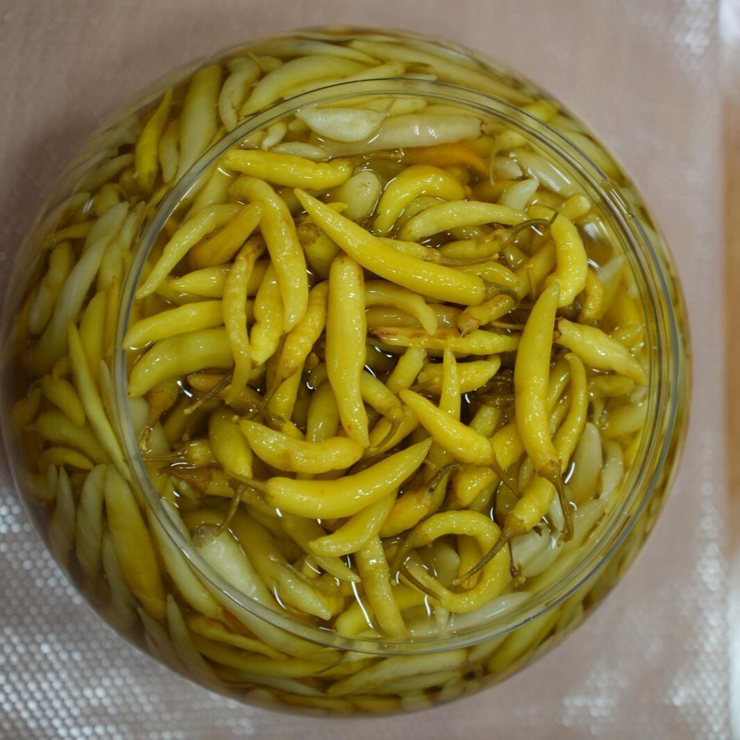 Ceyhan Biberi