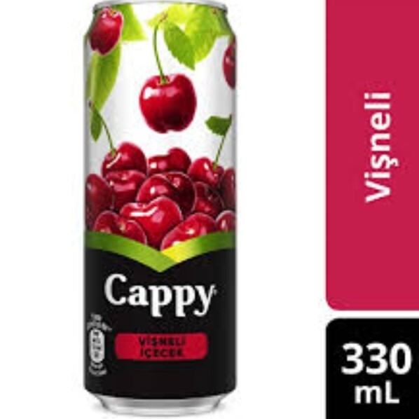 Meyve Suyu (33cl.)