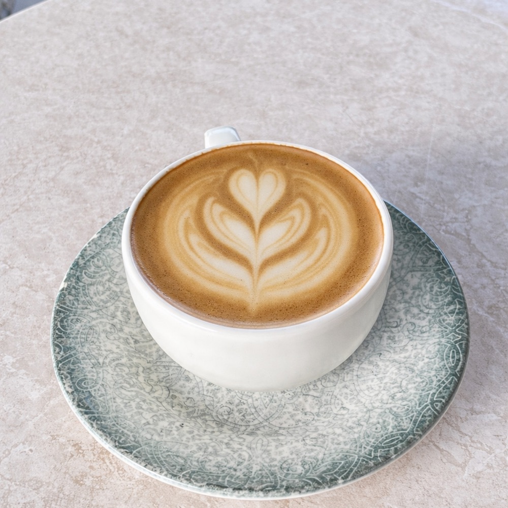 Turtle Mocha