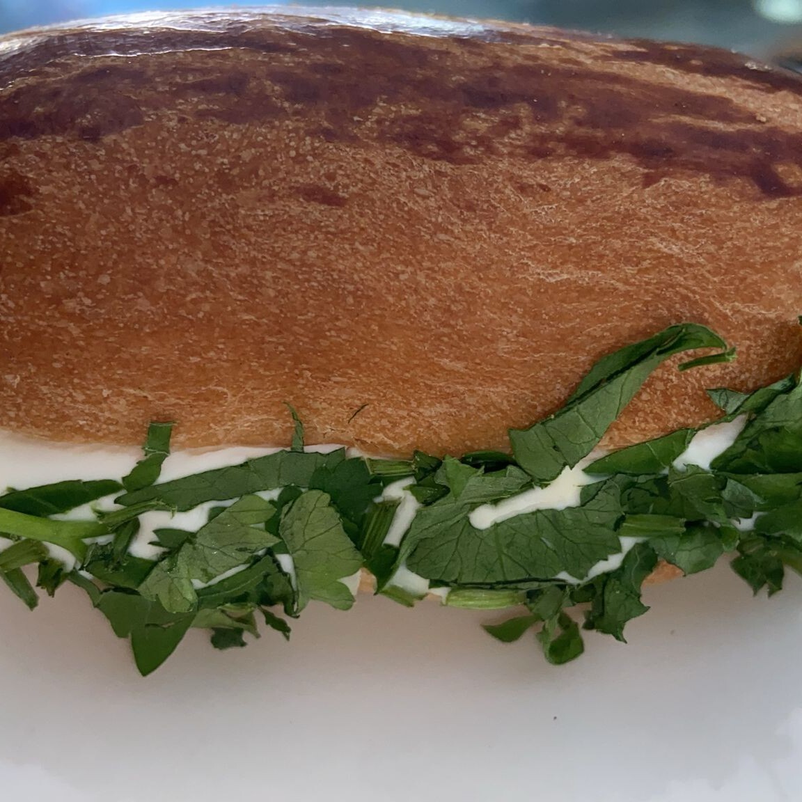 Kanepe (Sakallı)