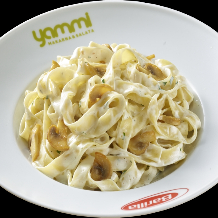 Chicken Alfredo Fettucine