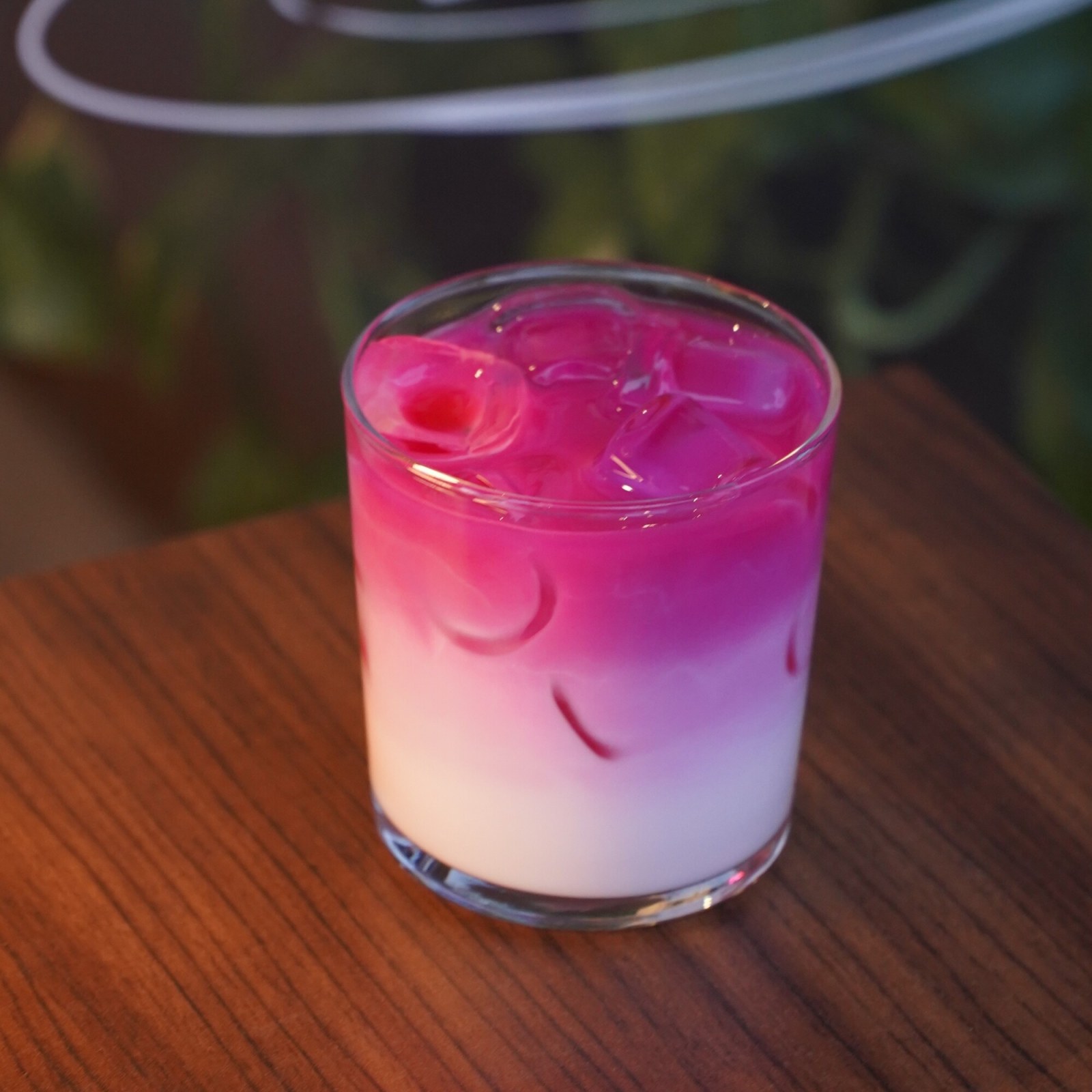 Pink Matcha Iced Vanilia Latte (14 oz)