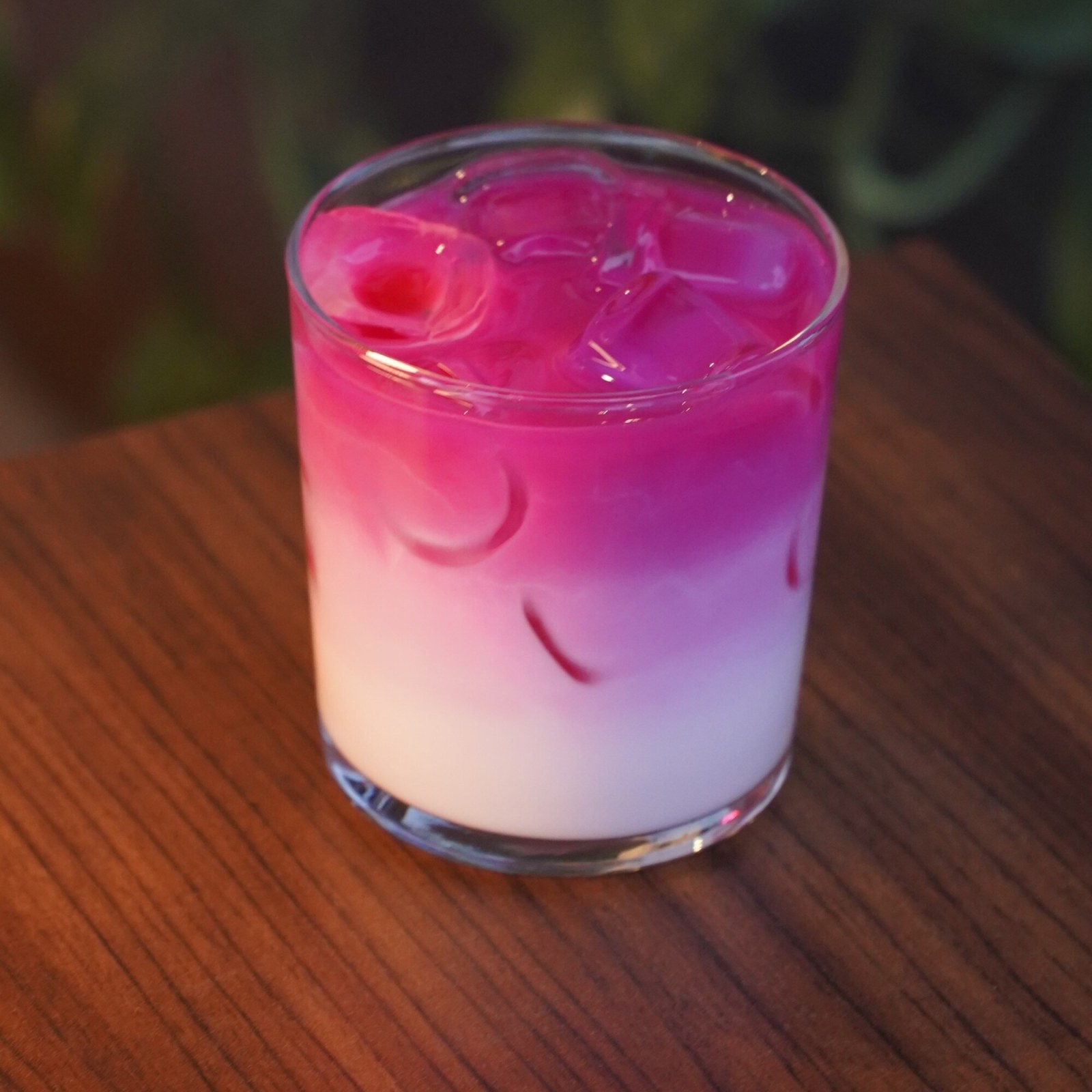 Iced Pink Matcha Latte