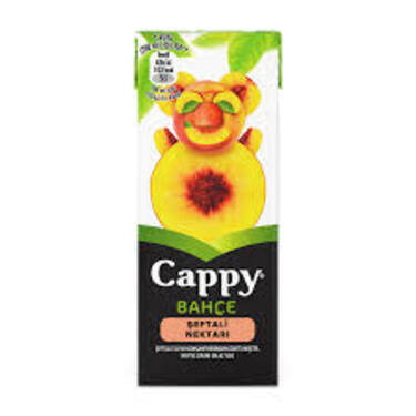 Cappy Şeftali (20 cl.)