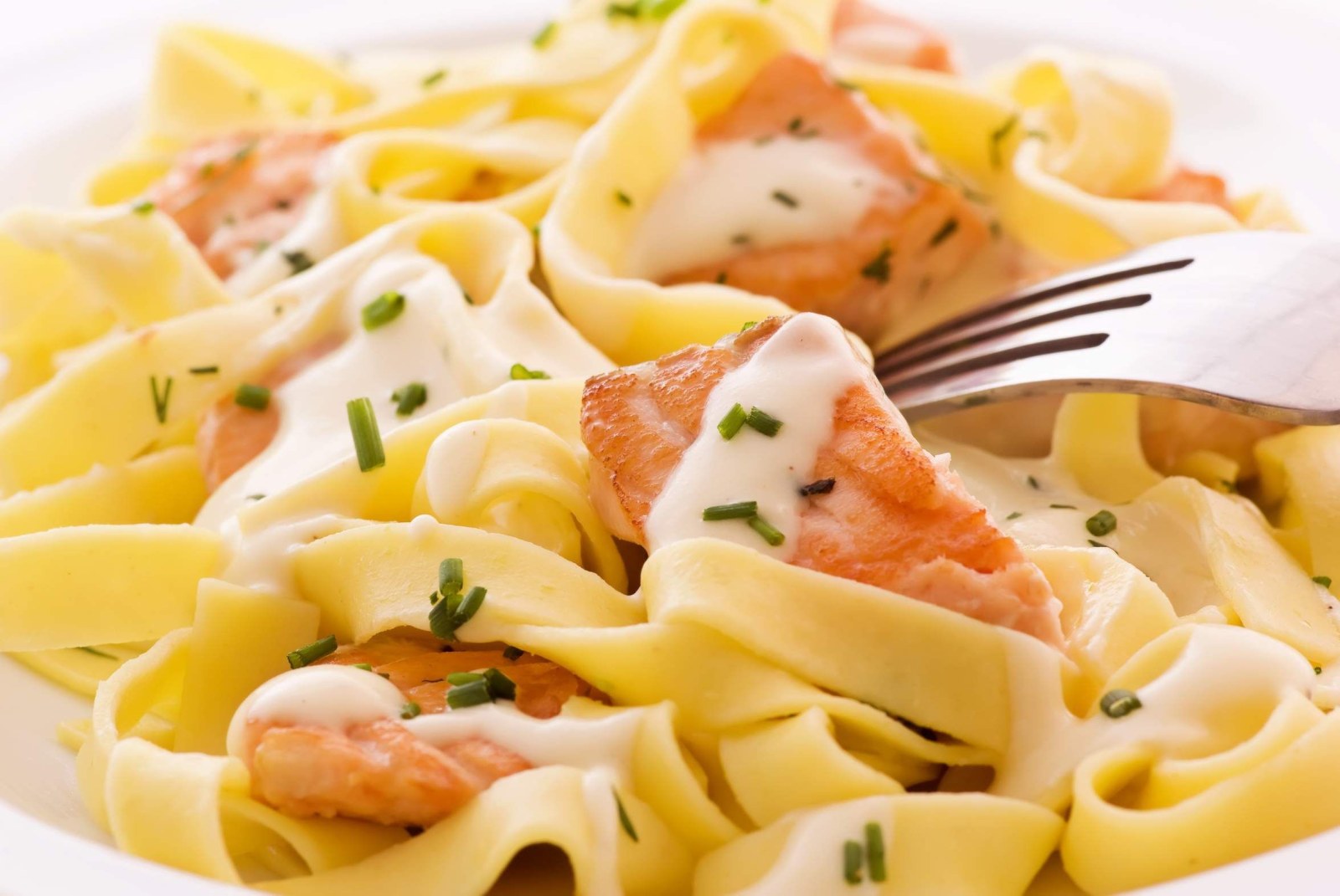 Somon Fettuccine