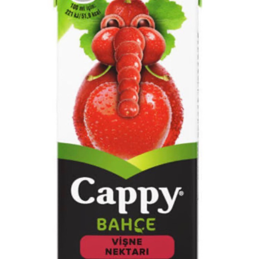 Cappy Meyve Suyu Vişne (200 ml)