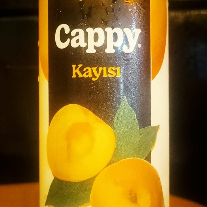 Cappy (33 cl.)